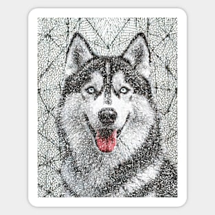 Dog Portrait - Siberian Husky Sticker